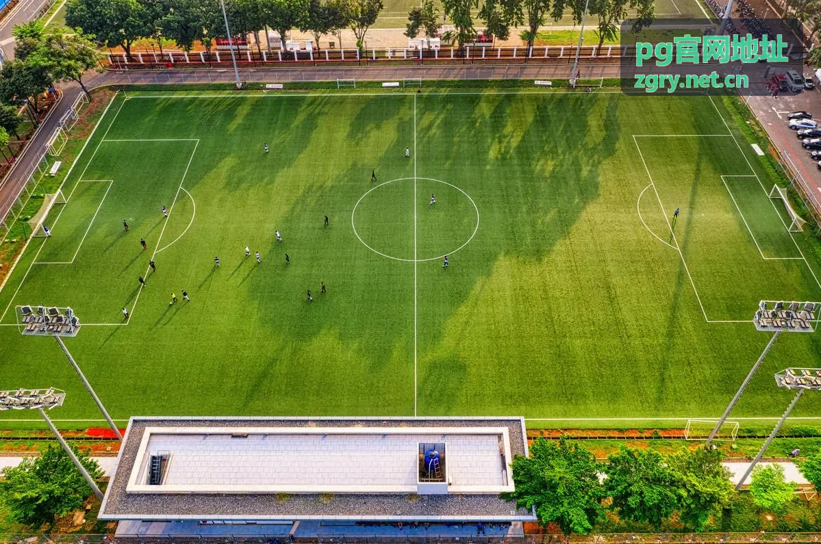pg官网地址公告阅读路线